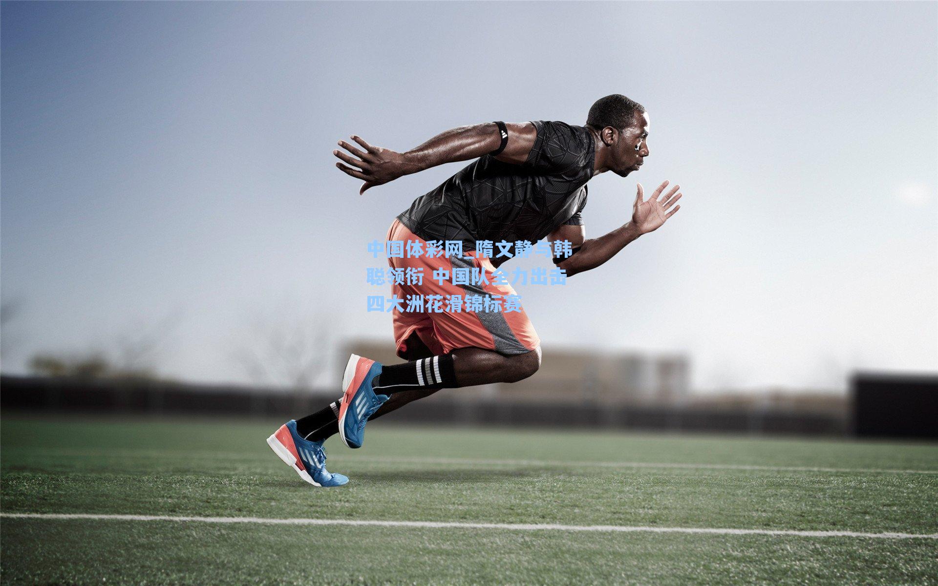 隋文静与韩聪领衔 中国队全力出击四大洲花滑锦标赛